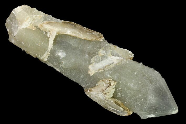 Sage-Green Quartz Crystal with Dual Core - Mongolia #169915